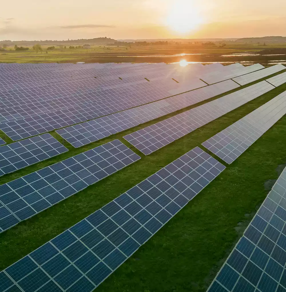 Atardece en un campo de placas solares, con el reflejo anaranjado del sol Atardece en un campo de placas solares, con el reflejo anaranjado del sol