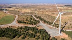 El Gobierno refuerza los criterios socioeconómicos y medioambientales para el despliegue de las renovables