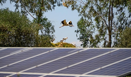 Los 10 'falsos mitos' de la energía fotovoltaica